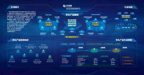 華云集團獲評浙江軟件核心競爭力企業，彰顯國網浙江電力產業單位數字化轉型硬實力